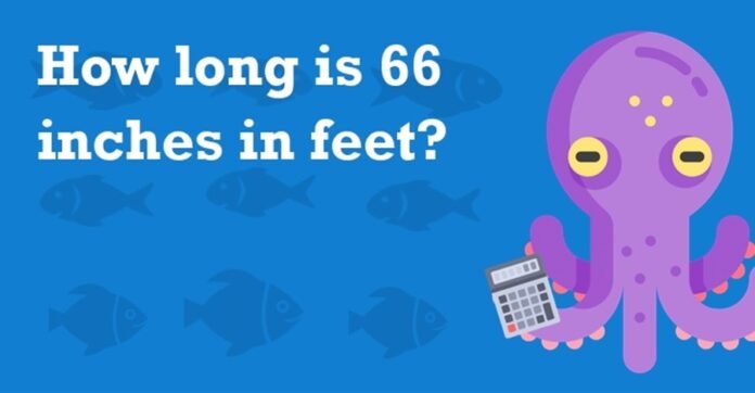 66 Inches In Feet 66 Inches In Feet