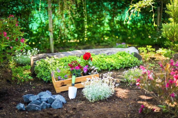 The Homeowners Guide To Gardening Tips And Tricks urban gardening