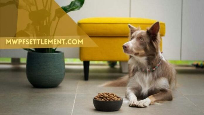 Your Guide to the Midwestern Pet Foods Mwpfsettlement.com