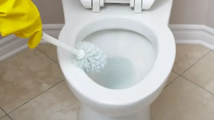 Toilet Cleaner Toilet Cleaner