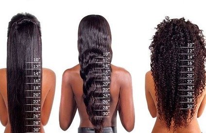 Hair Length Chart Hair Length Chart