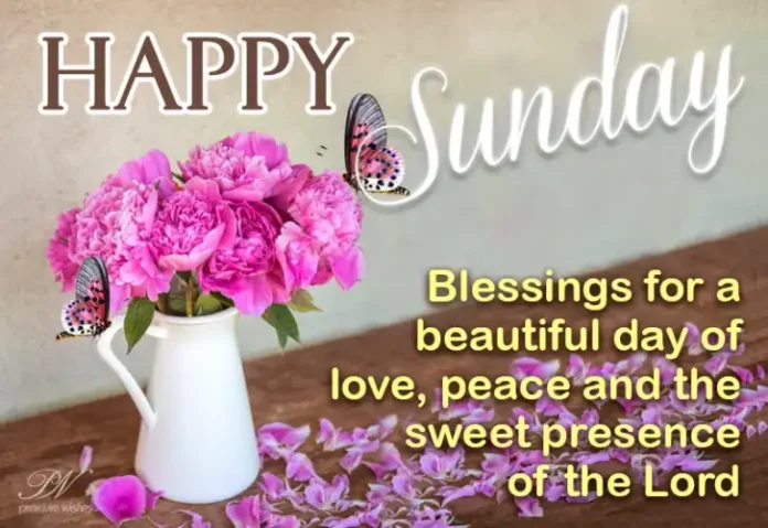 2024_27329ae8bd Sunday Blessings