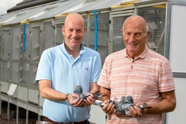 northern premier auctions northern premier auctions