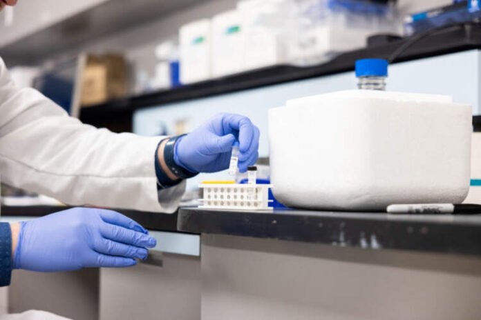 maternal cell contamination testing maternal cell contamination testing